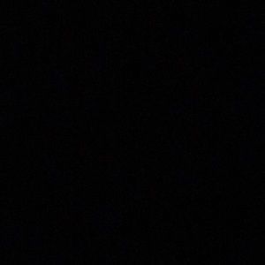 Meet your Posher, Rose